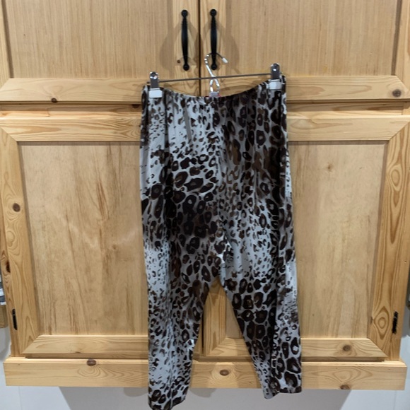 Brand unknown cheetah animal printed 2 piece pajama set size 1X - Picture 3 of 6